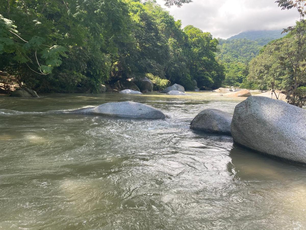 Wayanay Tayrona Eco Hostel El Zaino Εξωτερικό φωτογραφία
