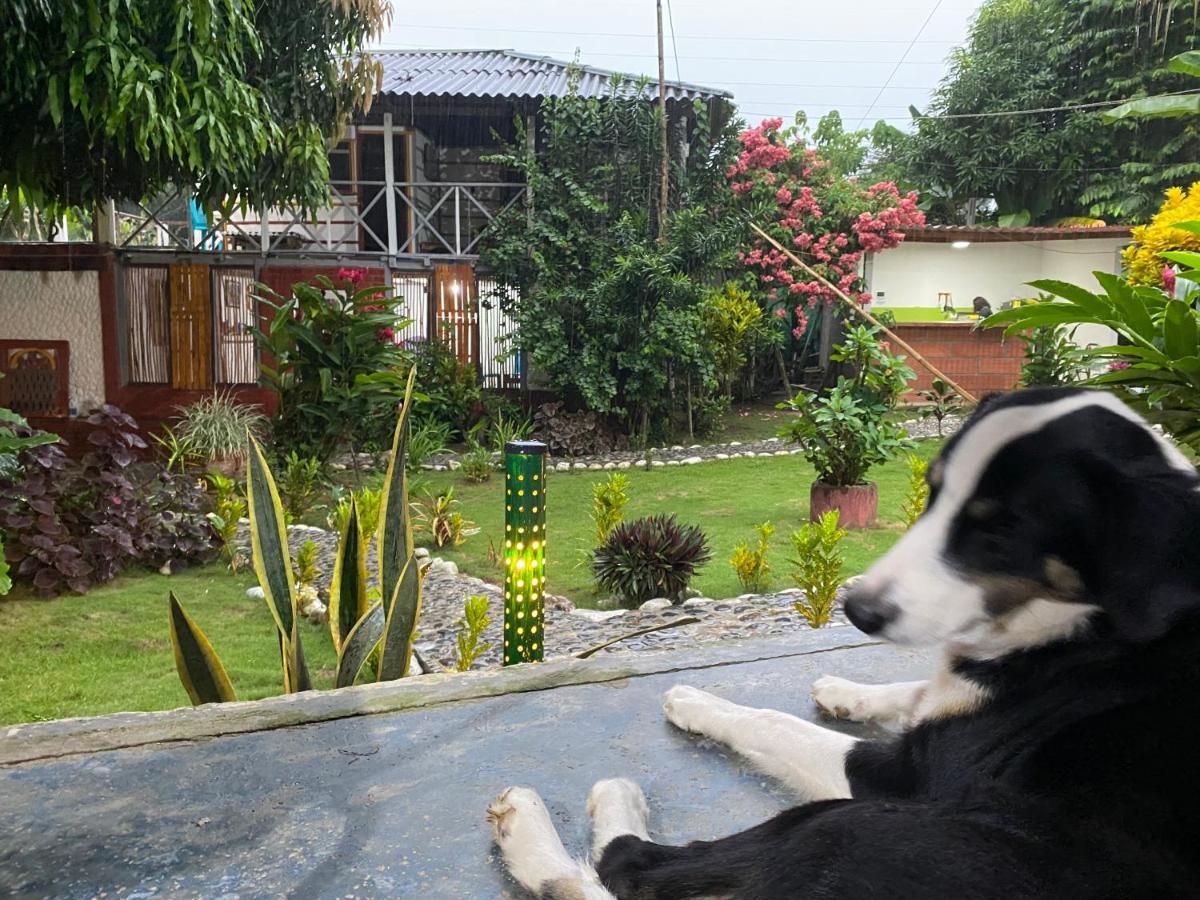 Wayanay Tayrona Eco Hostel El Zaino Εξωτερικό φωτογραφία