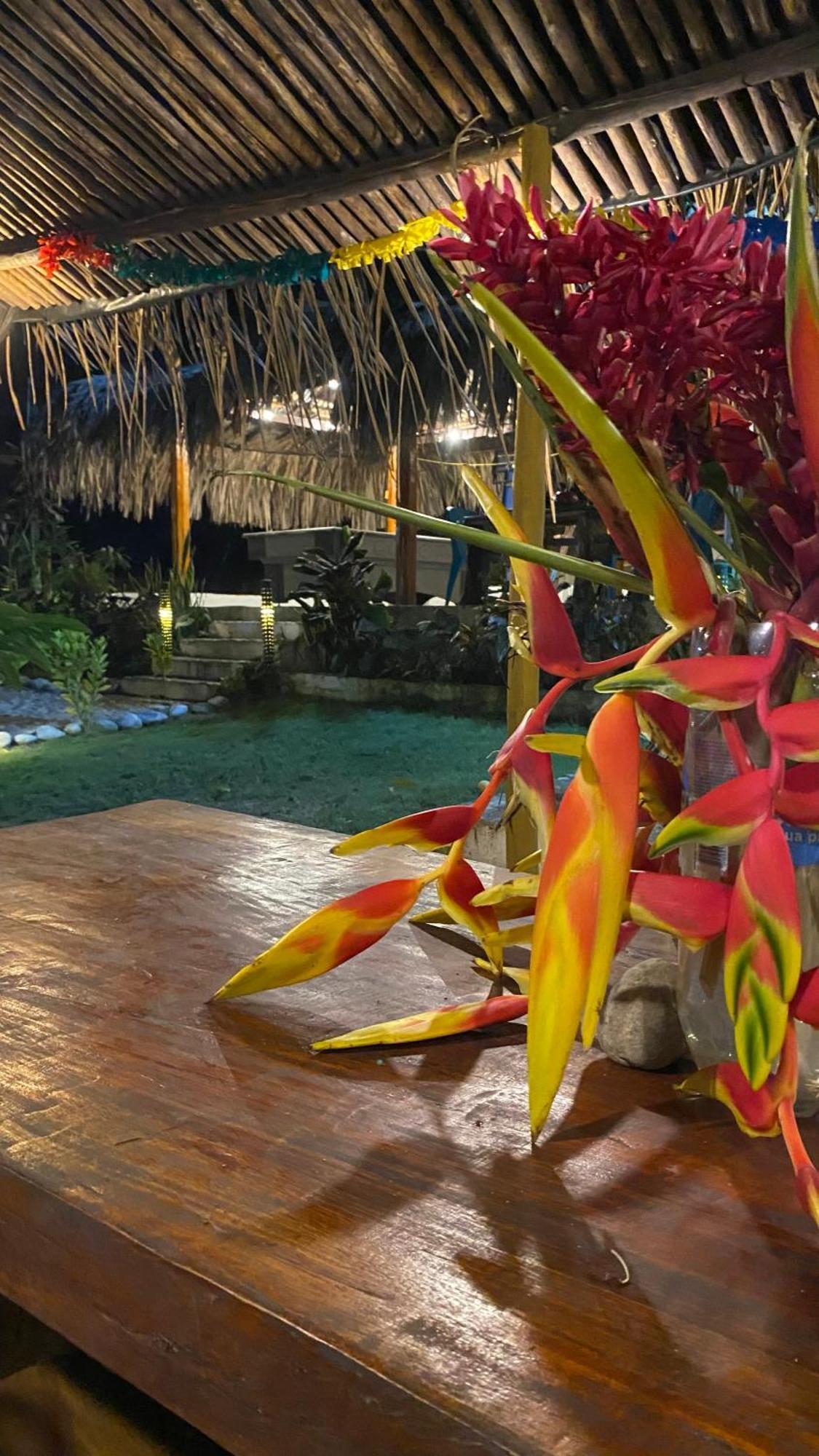 Wayanay Tayrona Eco Hostel El Zaino Εξωτερικό φωτογραφία