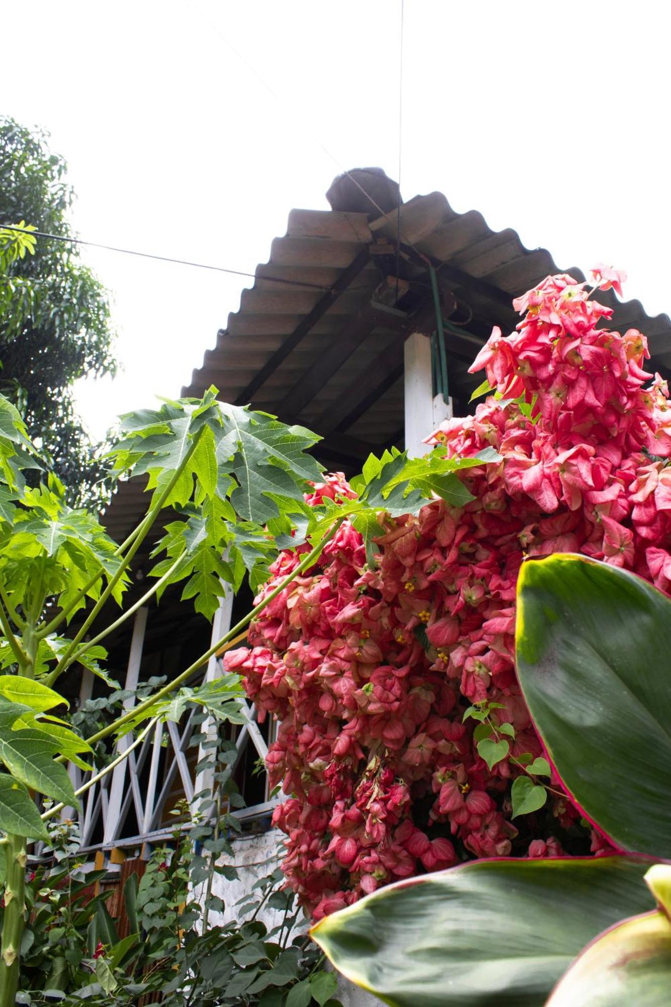Wayanay Tayrona Eco Hostel El Zaino Εξωτερικό φωτογραφία