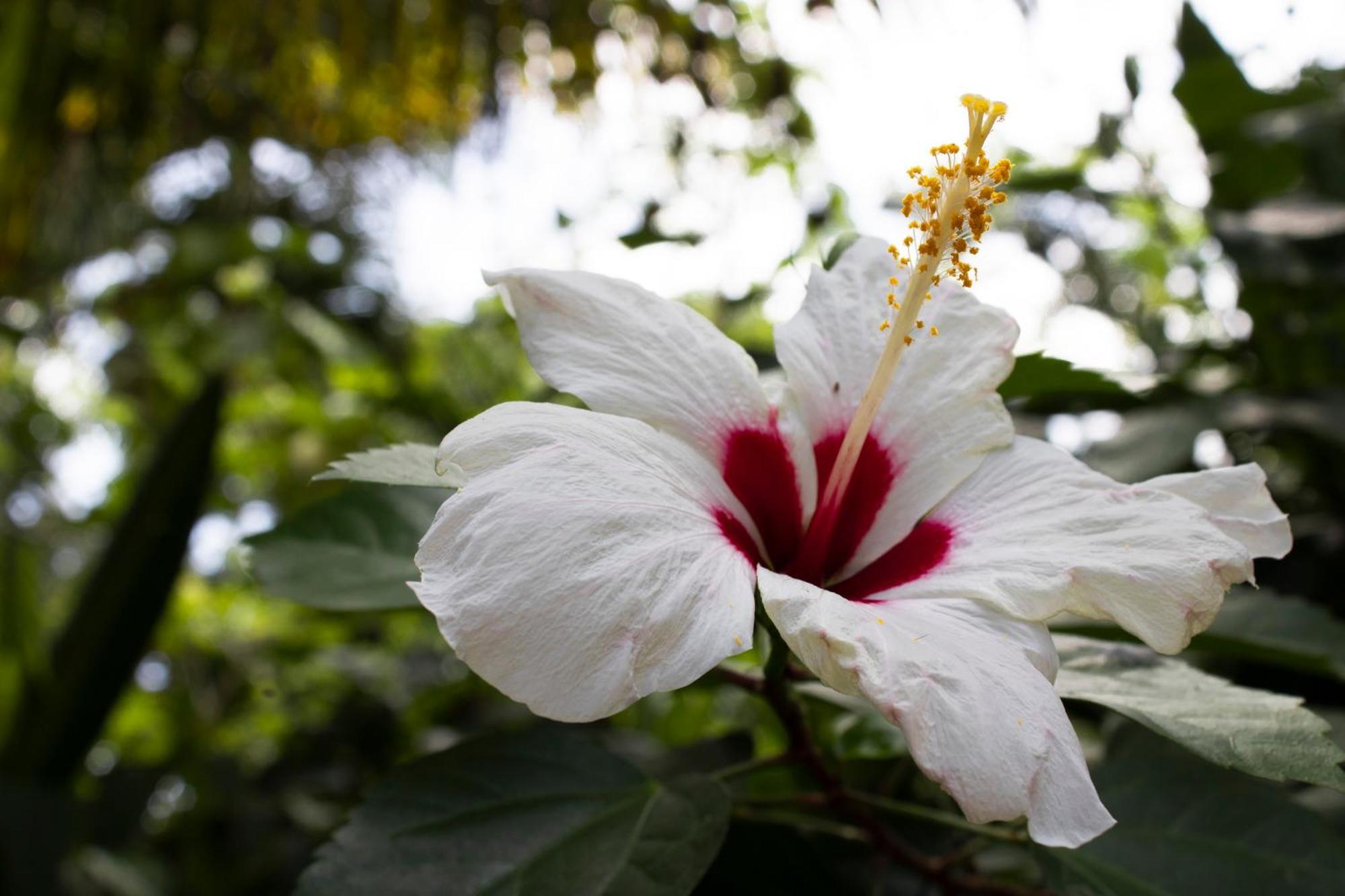 Wayanay Tayrona Eco Hostel El Zaino Εξωτερικό φωτογραφία