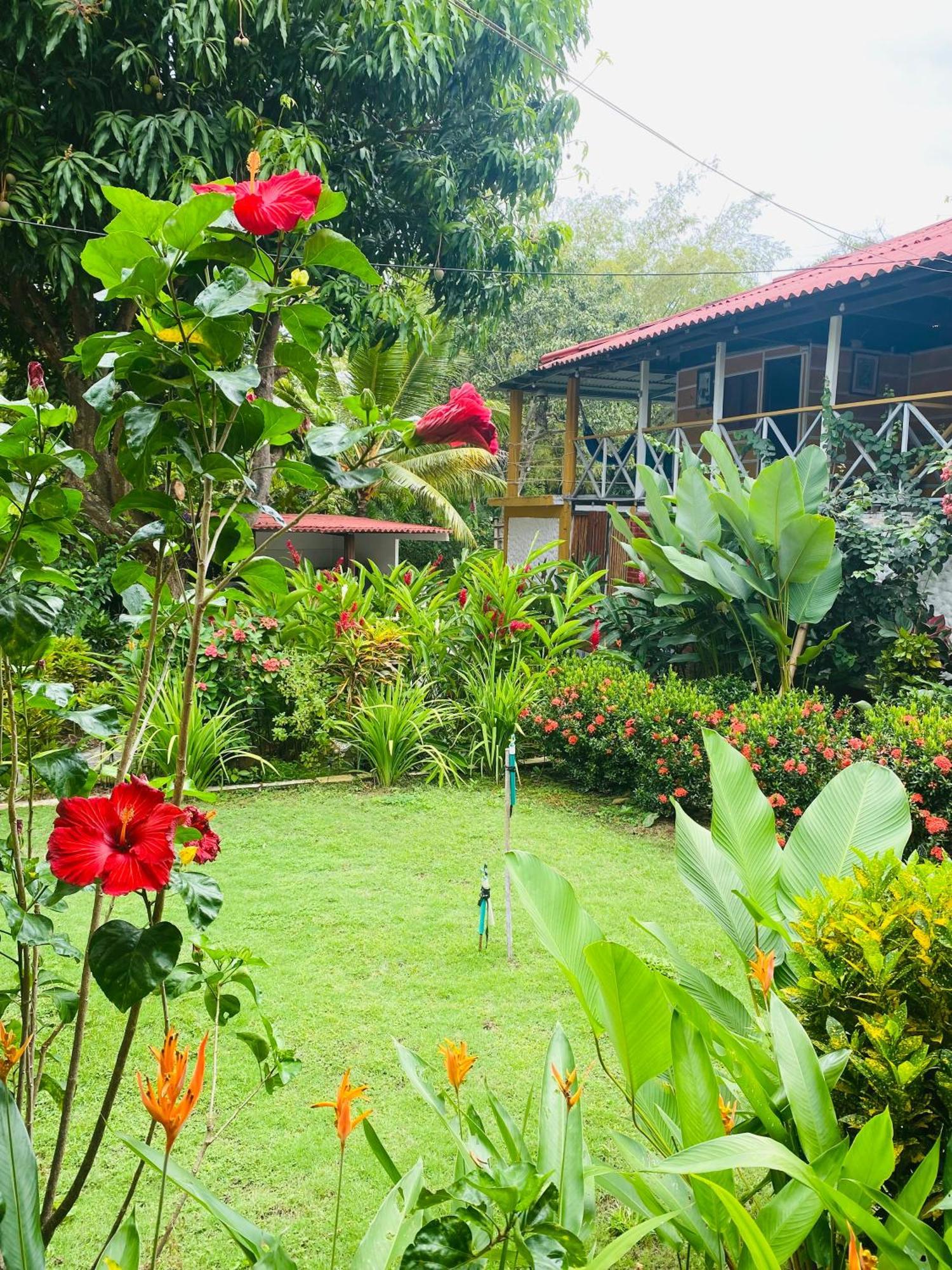 Wayanay Tayrona Eco Hostel El Zaino Εξωτερικό φωτογραφία