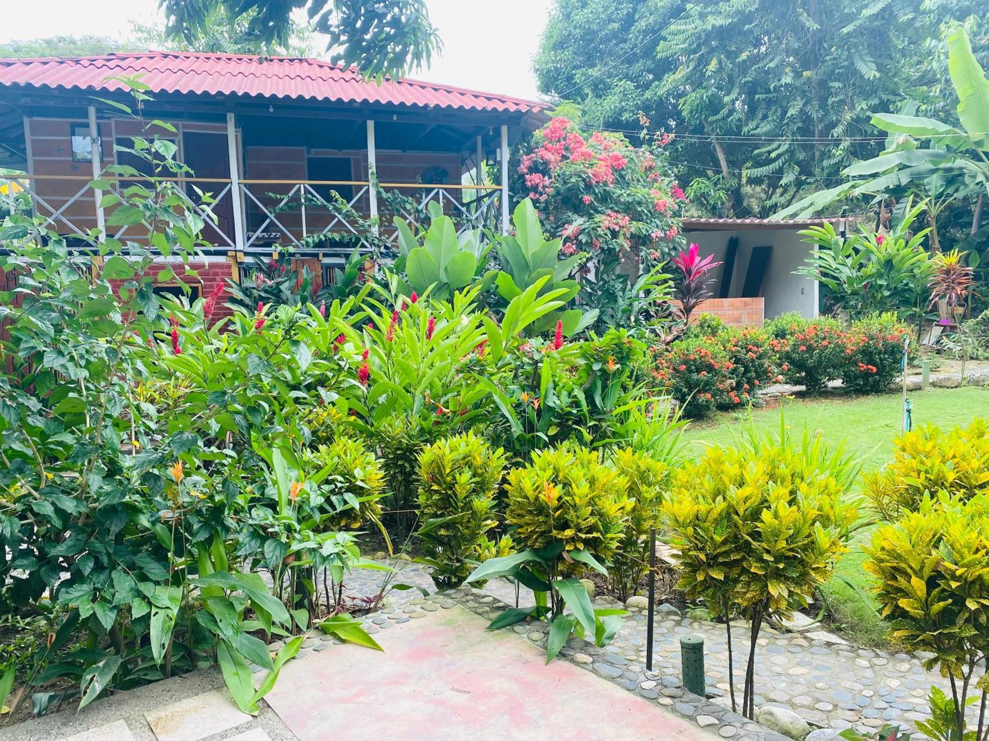 Wayanay Tayrona Eco Hostel El Zaino Εξωτερικό φωτογραφία