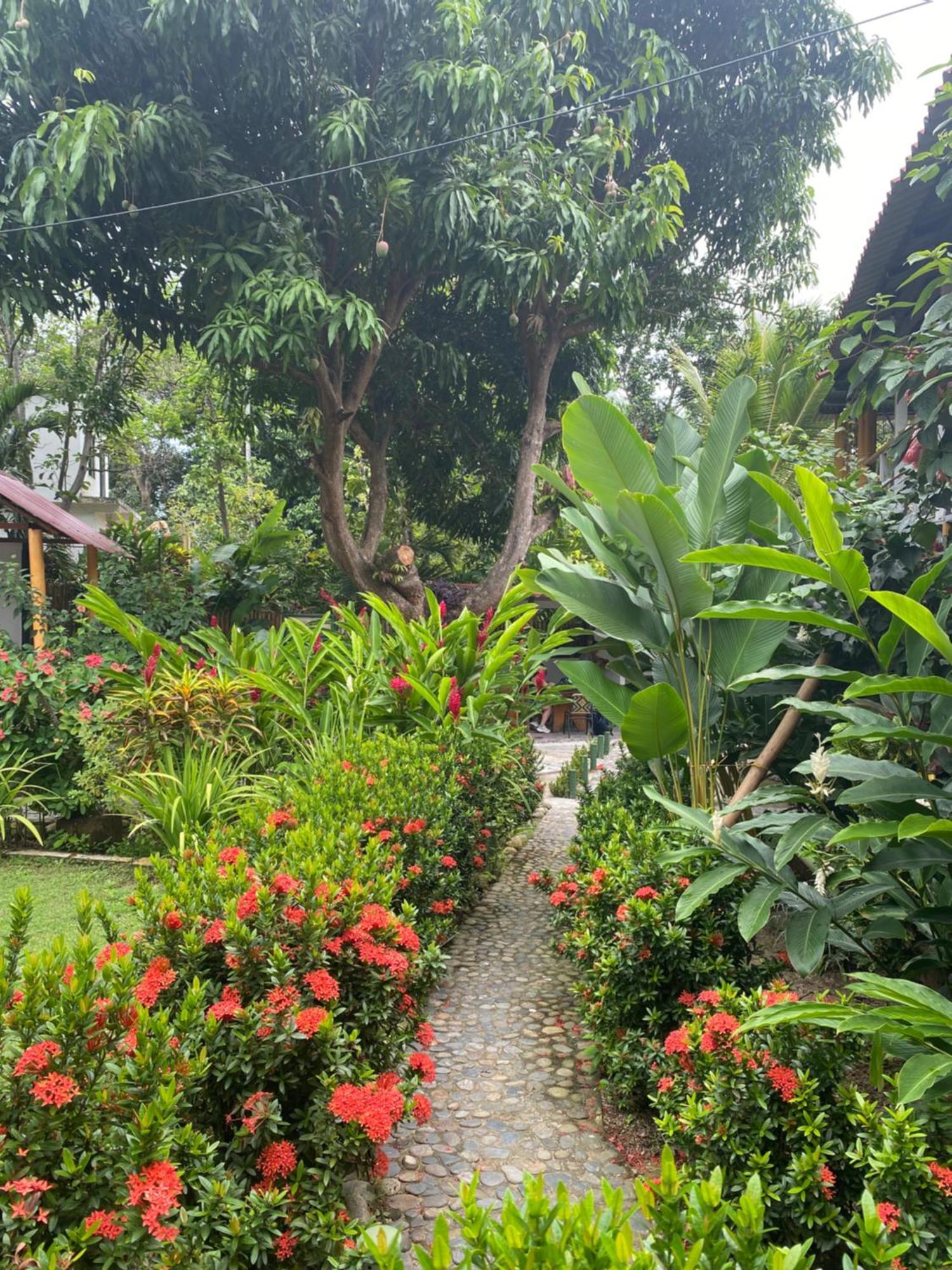 Wayanay Tayrona Eco Hostel El Zaino Εξωτερικό φωτογραφία