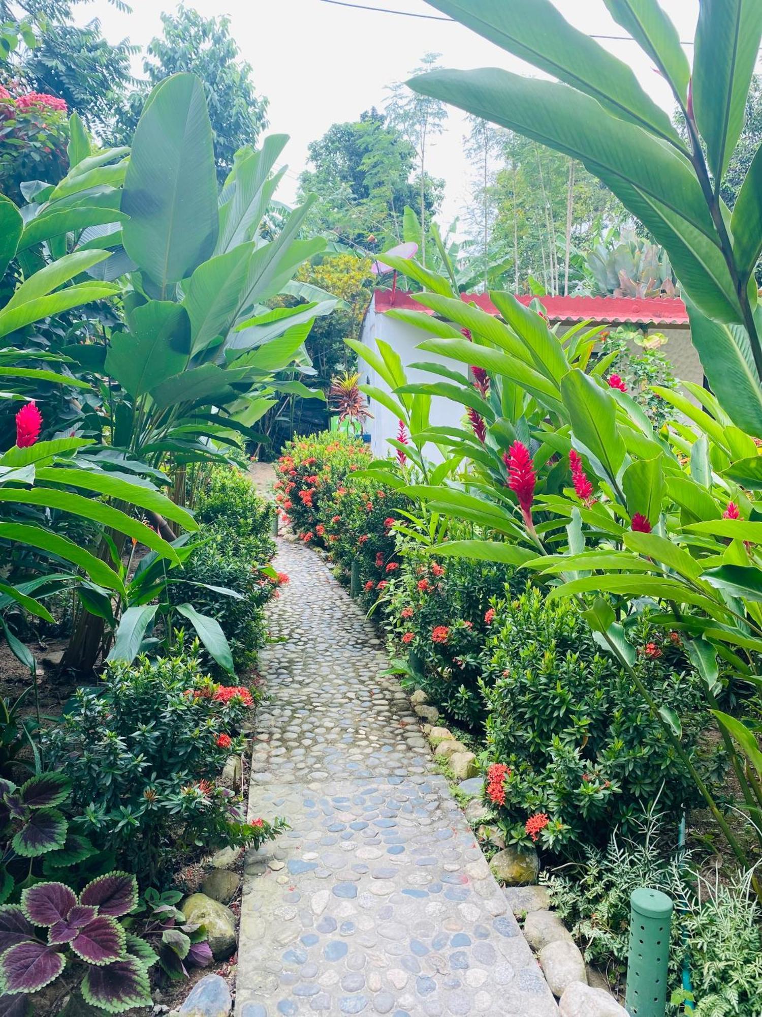 Wayanay Tayrona Eco Hostel El Zaino Εξωτερικό φωτογραφία